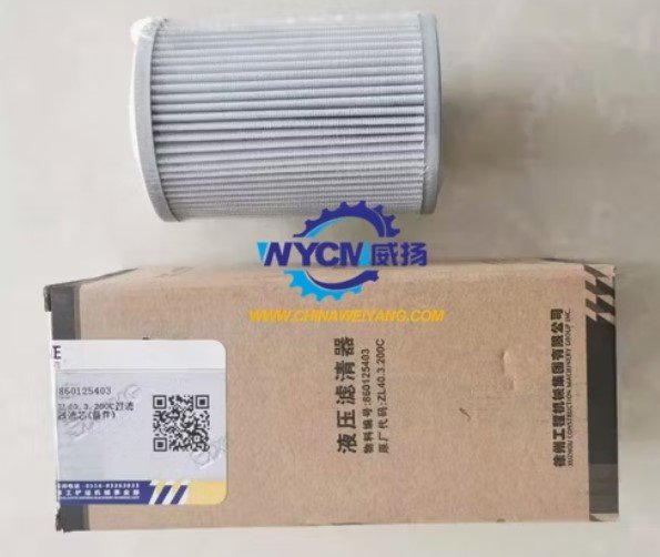 CHANEL FILTER XCMG 860125403 250202026